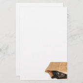 Kat in de zak briefpapier (Voorkant / Achterkant)