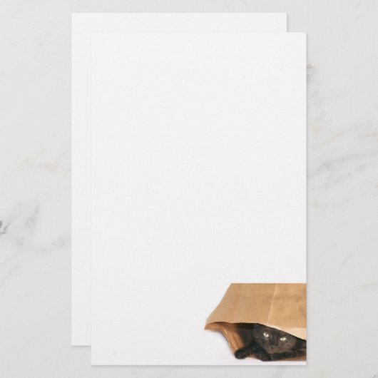 Kat in de zak briefpapier (Voorkant / Achterkant)