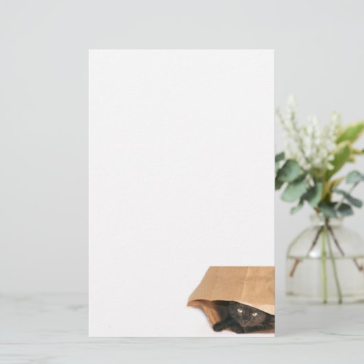 Kat in de zak briefpapier (Staand voorkant)