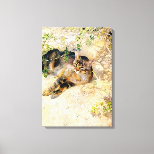 Kat in de zon, Bruno Liljefors Canvas Afdruk (Voorkant)
