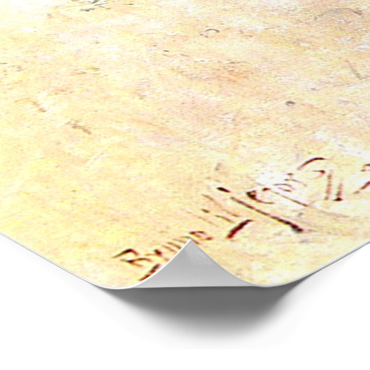 Kat in de zon, Bruno Liljefors Poster (Hoek)