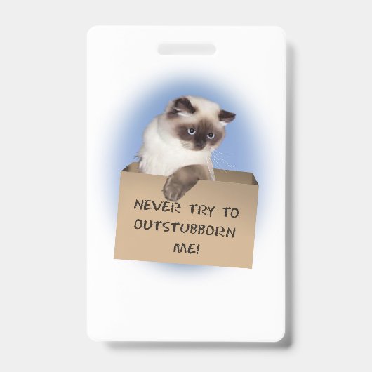 Kat in Doos Badge (Voorzijde)