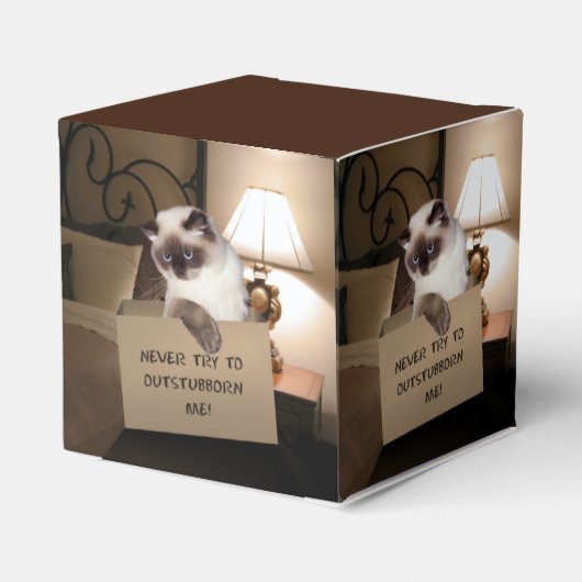 Kat in doos bedankdoosjes (Achterkant)