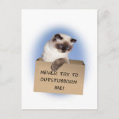 Kat in doos briefkaart (Voorkant)