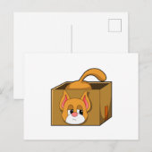 Kat in Doos Briefkaart (Voorkant / Achterkant)