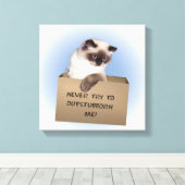 Kat in doos canvas afdruk (Insitu (Houten vloer))