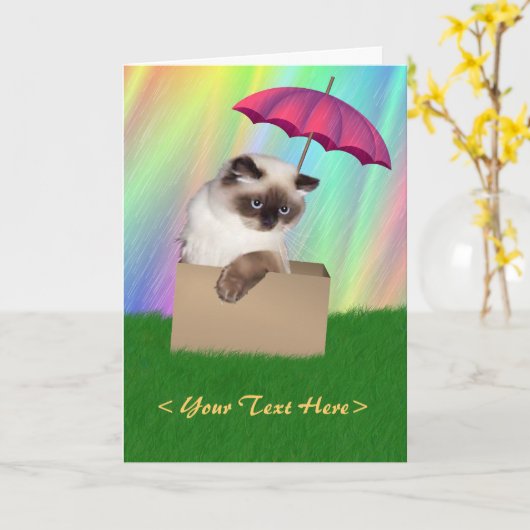 Kat in doos kaart (Gele Bloem)