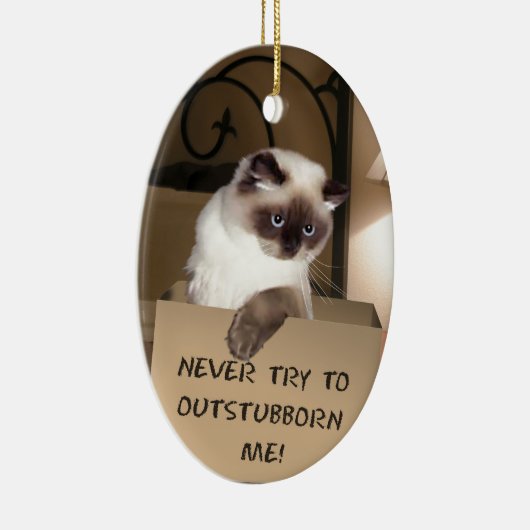 Kat in doos keramisch ornament (Rechts)