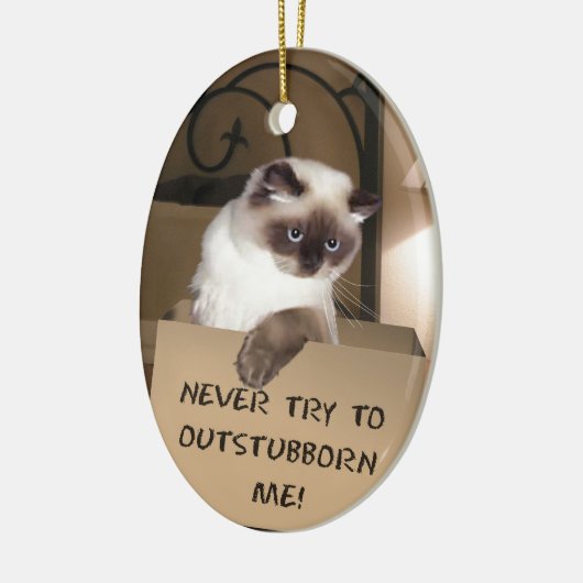 Kat in doos keramisch ornament (Links)