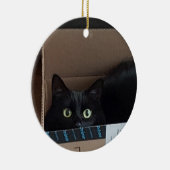 Kat in doos keramisch ornament (Rechts)