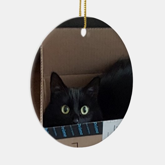 Kat in doos keramisch ornament (Rechts)