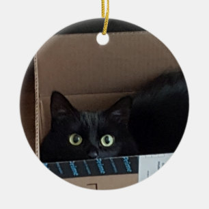 Kat in doos keramisch ornament