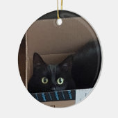 Kat in doos keramisch ornament (Links)