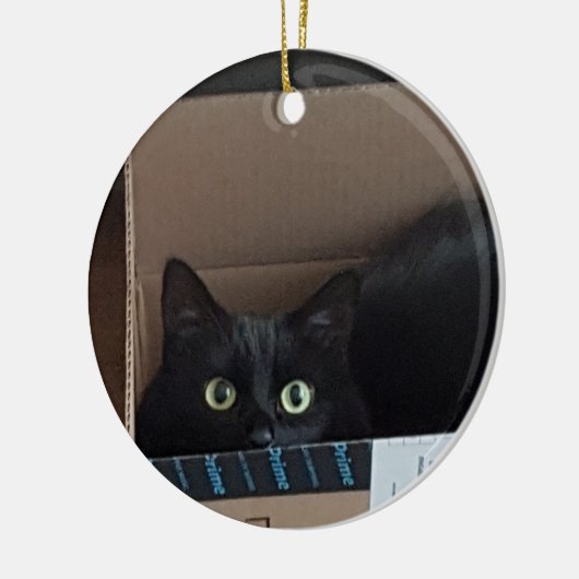 Kat in doos keramisch ornament (Links)