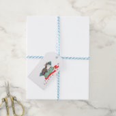 Kat in doos kerstcadeaulabels cadeaulabel (Met Touw)