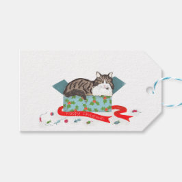 Kat in doos kerstcadeaulabels cadeaulabel