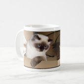 Kat in doos koffiemok (Voorkant links)