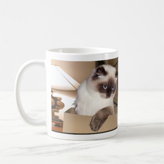 Kat in doos koffiemok (Links)