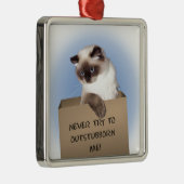 Kat in doos metalen ornament (Rechts)
