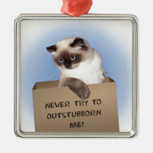 Kat in doos metalen ornament