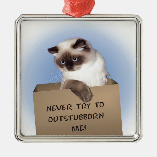 Kat in doos metalen ornament (Voorkant)