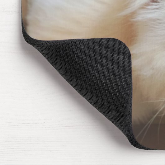 Kat in doos muismat (Hoek)