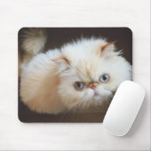 Kat in doos muismat (Met muis)