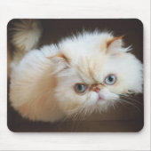 Kat in doos muismat (Voorkant)