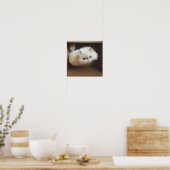 Kat in doos poster (Keuken)