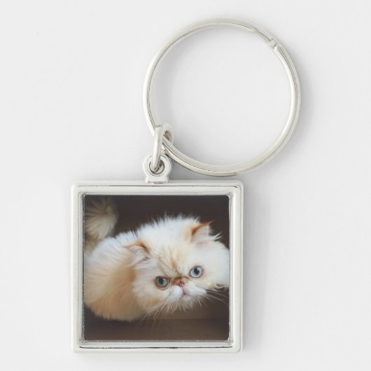 Kat in doos sleutelhanger (Voorkant)
