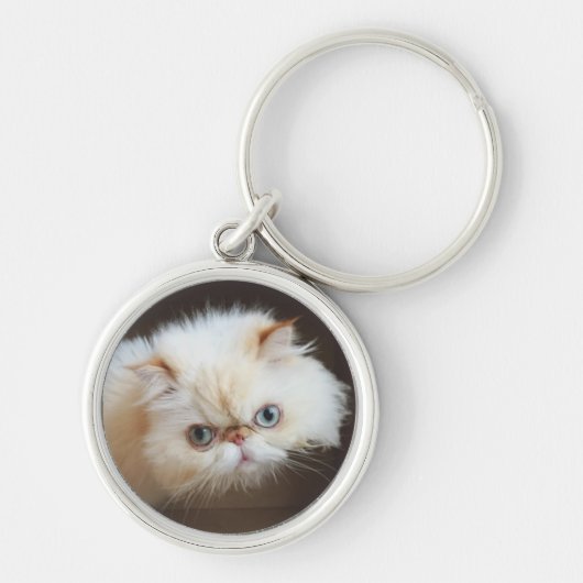 Kat in doos sleutelhanger (Voorkant)