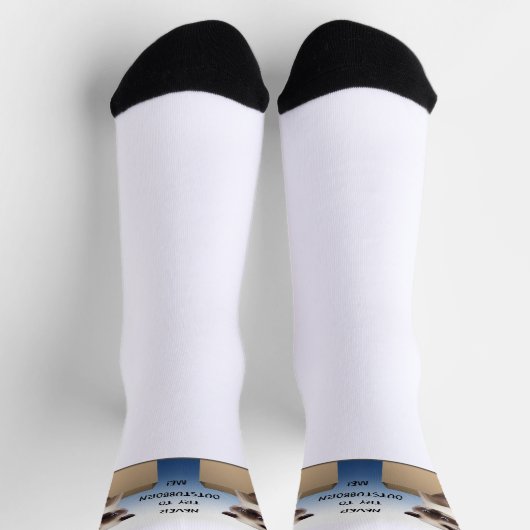 Kat in doos sokken (Top)