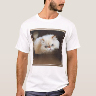 Kat in doos t-shirt