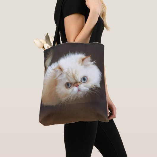 Kat in doos tote bag (Dichtbij)