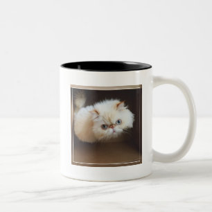 Kat in doos tweekleurige koffiemok