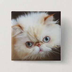 Kat in doos vierkante button 5,1 cm