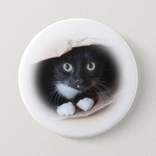 Kat in een b-ag ronde button 7,6 cm