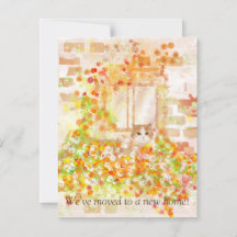 Kat in een Blokkerdoos de Nieuwe Kaart van de Aank