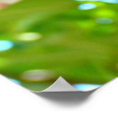 Kat in een boom poster (Hoek)