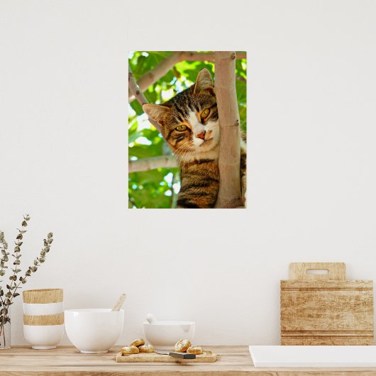 Kat in een boom poster (Keuken)