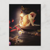 Kat in een boot briefkaart (Voorkant)