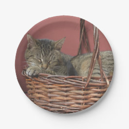 Kat in een Bord voor mandpapier