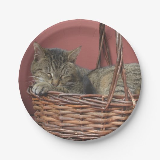 Kat in een Bord voor mandpapier (Voorkant)