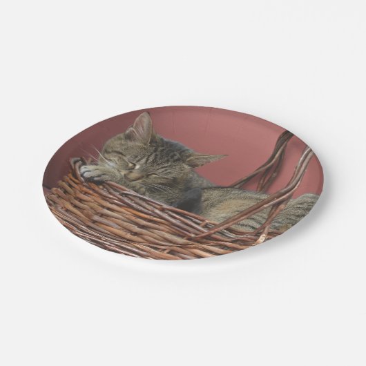 Kat in een Bord voor mandpapier (Gekanteld)