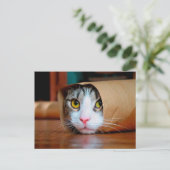 Kat in een bruin papier verpakt briefkaart (Staand voorkant)