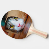 Kat in een bruin papier verpakt tafeltennisbatje (Zijkant)