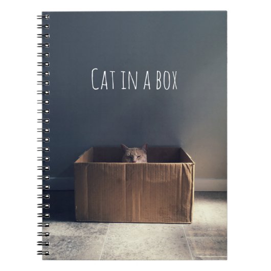 Kat in een doos. De Zen-kat-meester. Notitieboek (Voorkant)