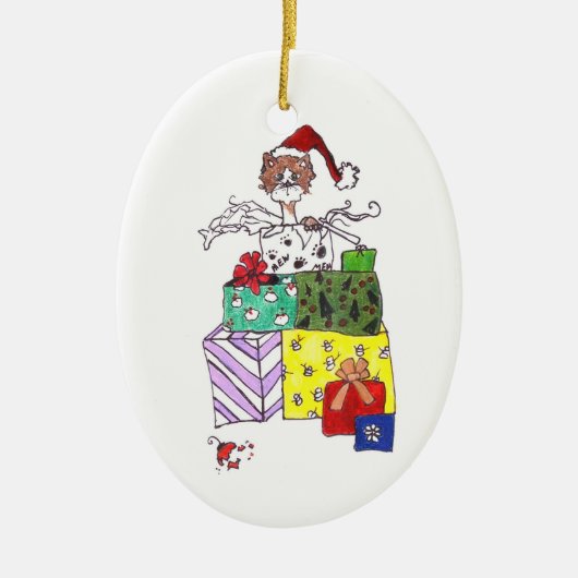 Kat in een doos keramisch ornament (Voorkant)