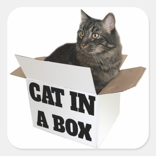 Kat in een doos! vierkante sticker (Voorkant)
