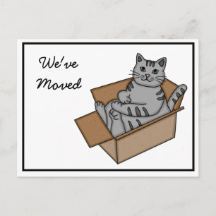 Kat in een Doos "We verhuizen" Nieuw Adres    Aankondigingskaart